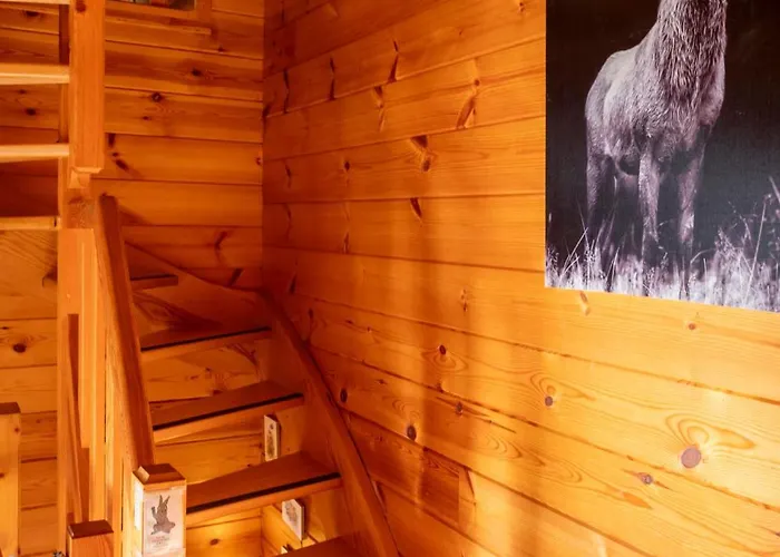 Chalet Terrasse Plein Sud, Cheminee, Ski-rando, Nature & Village, Animaux Admis, Parking La Bresse